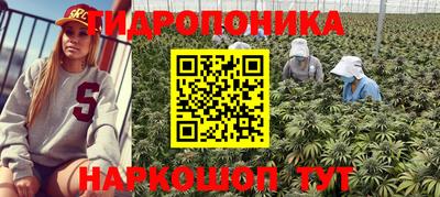 стафф Краснознаменск