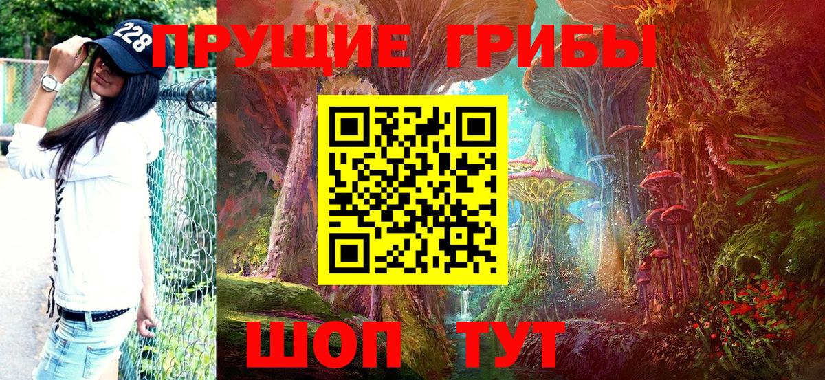 купить   Галлюциногенные грибы MAGIC MUSHROOMS  Галлюциногенные грибы Magic Shrooms  Вход с VPN  Зеленодольск 